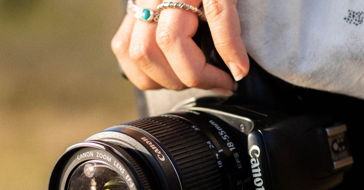 A Beginner's Guide to Rainforest Photography in Coffs Harbour